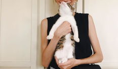 米麻豆,探寻传统美食的传承与创新之旅